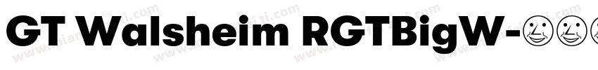 GT Walsheim RGTBigW字体转换
